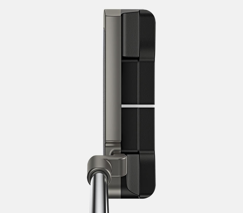 Scottsdale Anser