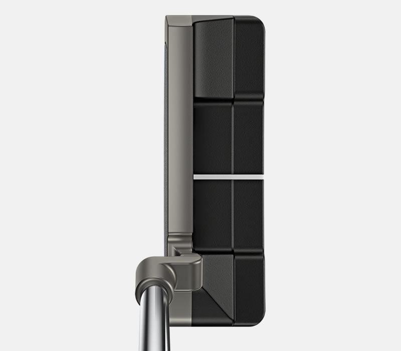 Scottsdale Anser 2D