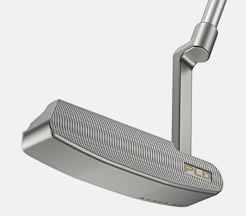 Anser 30 (2025)