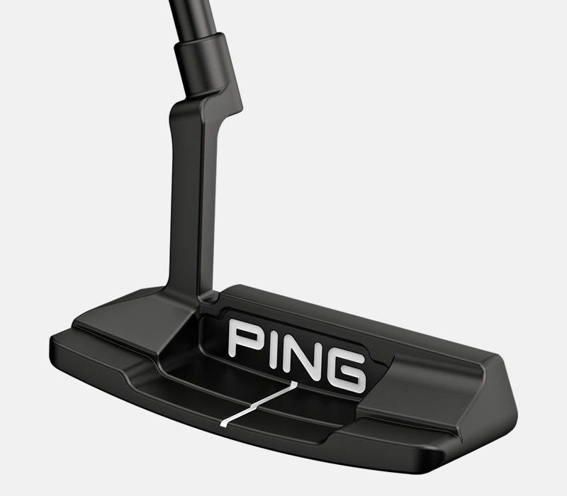 Ping Anser 2D