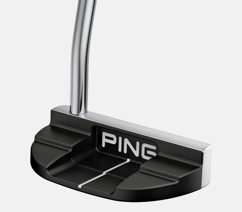 Ping 2024 DS72