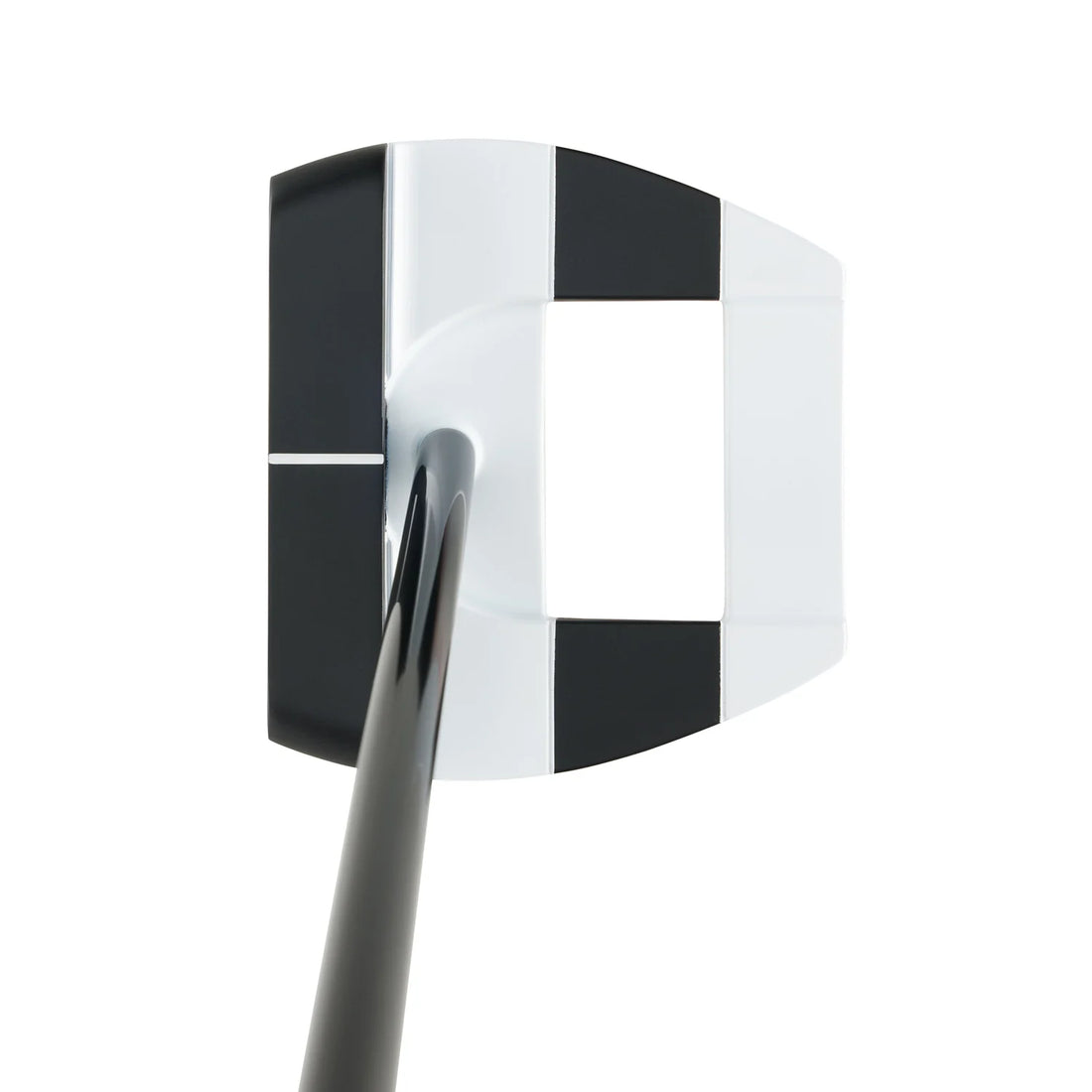 Ai-Dual S2S Jailbird