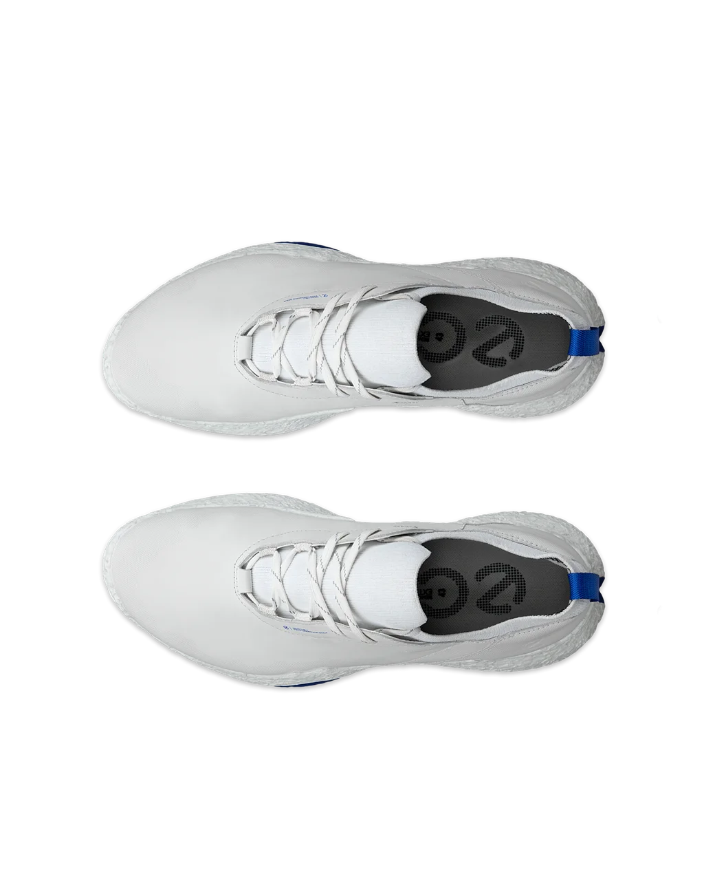 ECCO M GOLF BIOM H5