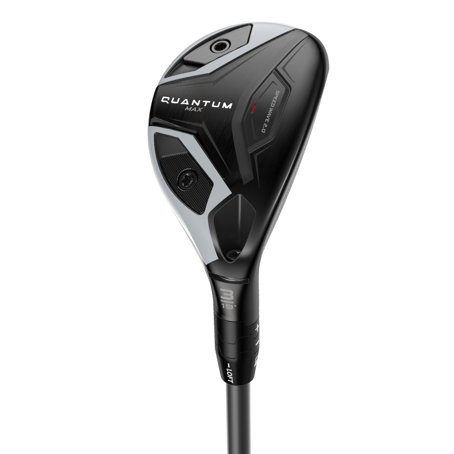 Quantum Max Hybrid