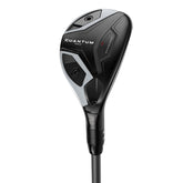 Quantum Max Hybrid
