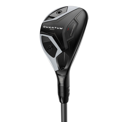 Quantum Max Hybrid